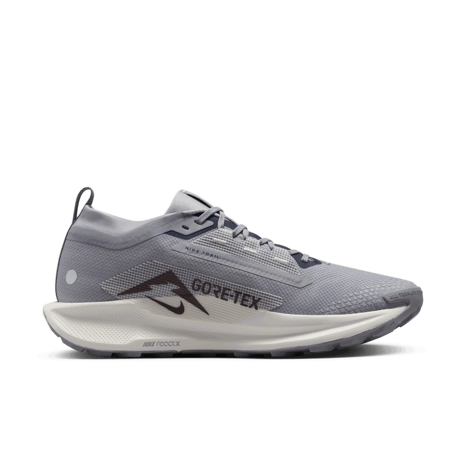 NIKE PEGASUS TRAIL 5 GORETEX